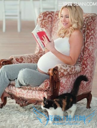 孕期不宜养宠物 小心弓形虫致畸 52IJ母婴教育