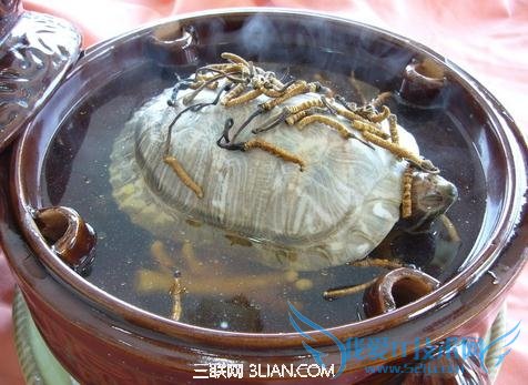 иԵʳ                52IJĸӤ