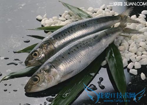 עⲹ Ӳ׽         52IJĸӤ