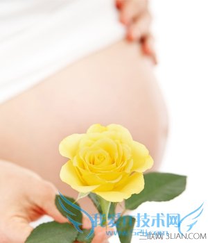 ̵̥ķ      52IJĸӤ