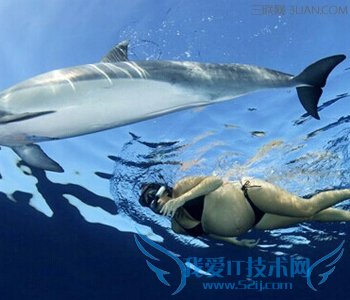 孕妇游泳有危险吗 52IJ母婴教育