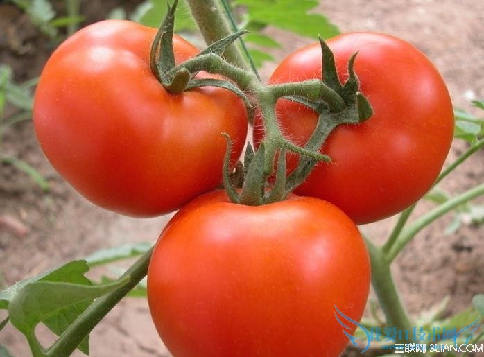 6招儿让您的孕期补而不胖 52IJ母婴教育