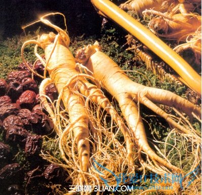 孕妇不能吃哪些补品 52IJ母婴教育