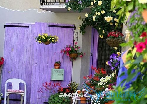 哪些盆栽植物有助于孕期睡眠?