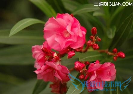 �и����˽Ӵ��ľ��ֻ�      52IJĸӤ����