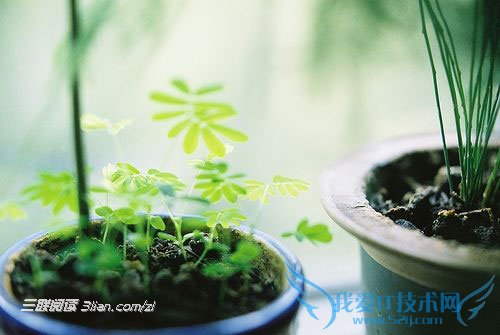 ʿԶ롰ʮ     52IJĶ