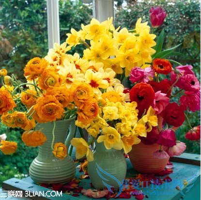 ǧֲ            52IJ