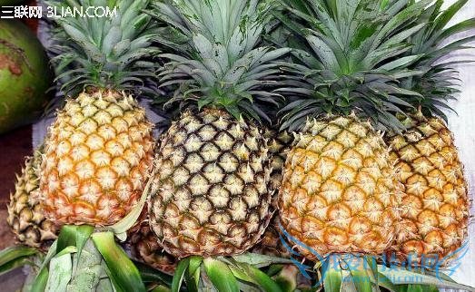 óԵĲѡ                    52IJ