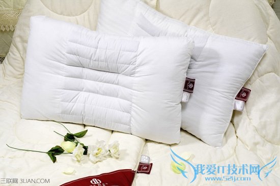 枕芯怎么洗呢 52IJ