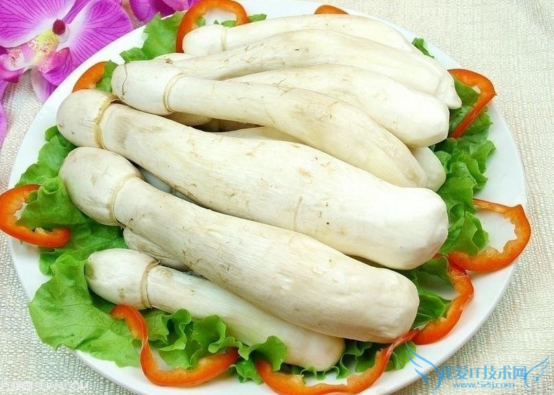 如何挑选鸡腿菇 52IJ