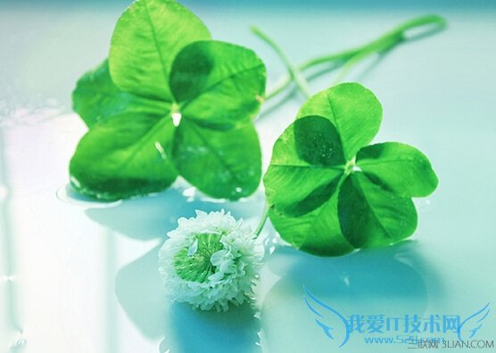 专家传授5大避蚊术 52IJ