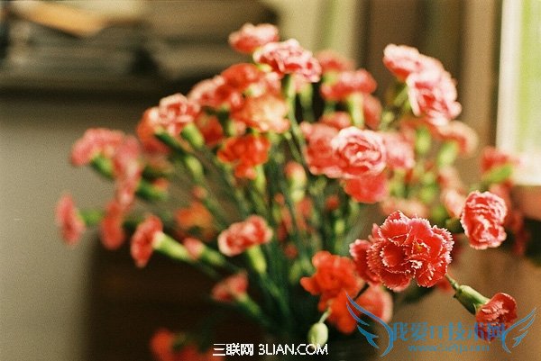 31ʶ          52IJ