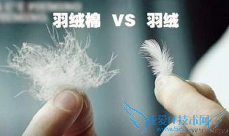 羽绒棉和羽绒的区别 52IJ