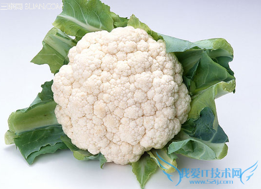 如何买菜挑菜方法 52IJ