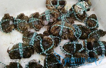 ó¦Ð·À¦°ó¼¼·¨http://www.3lian.com