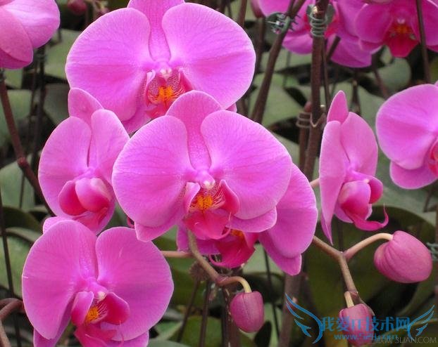 ڶ೤ʱ          52IJ