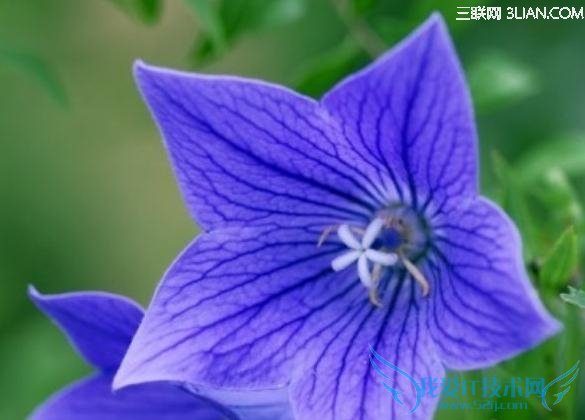 ˽Ӧ֪ĸֻ           52IJ