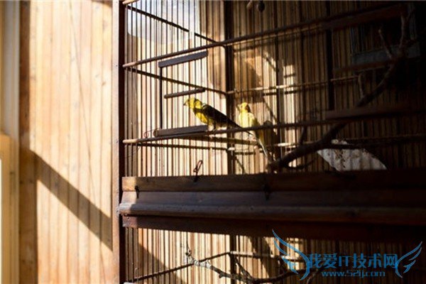 画家的百年复式公寓