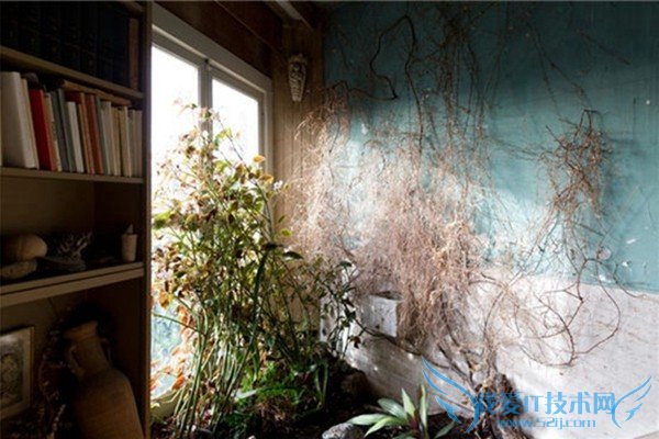 画家的百年复式公寓