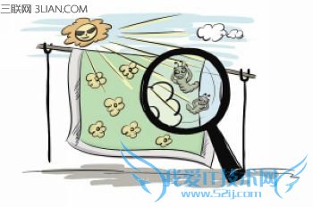 生活中杀螨虫最有效的方法 52IJ