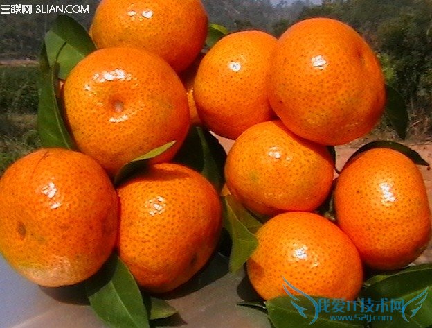 ͷŸЧ           52IJ