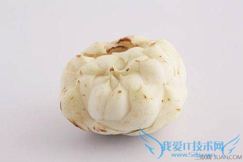 如何挑选新鲜百合 52IJ