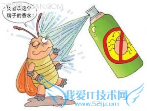 驱赶蟑螂、蚂蚁、蚊子的妙方 52IJ