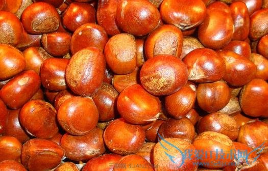 板栗怎么保存 52IJ