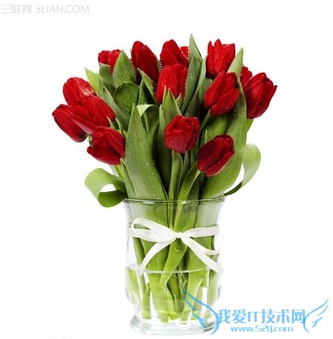 2014ʦʦʲôͻף 52IJ