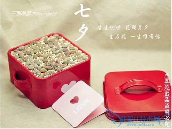 ϦʲôϦа 52IJĶ