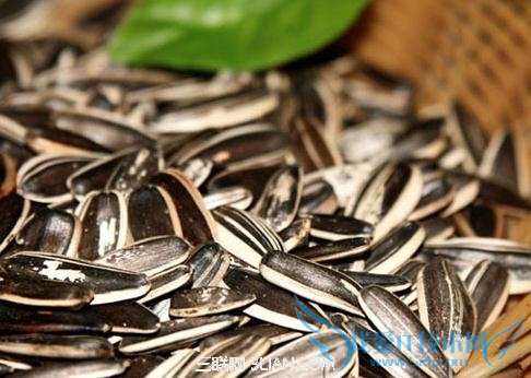 4˸ʳĪ            52IJ