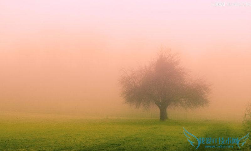 教你6招轻松摆脱“噩梦” 52IJ