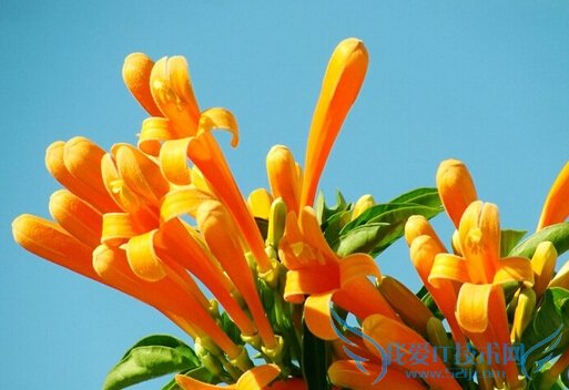 ̻ҩùЧʲô֢    52IJ