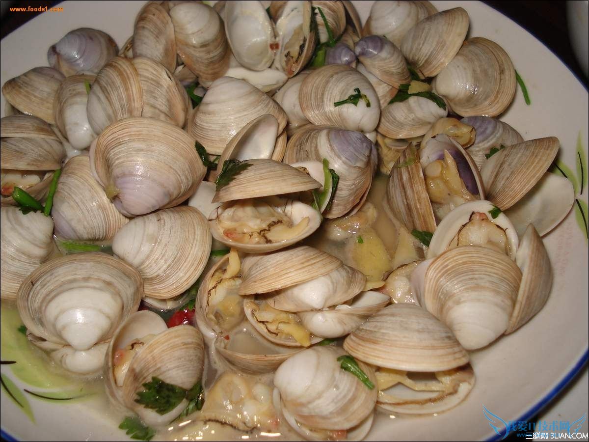 花蛤怎么去沙子 52IJ