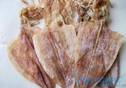 干鱿鱼怎么泡发 52IJ