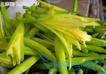 如何挑选黄花菜 52IJ