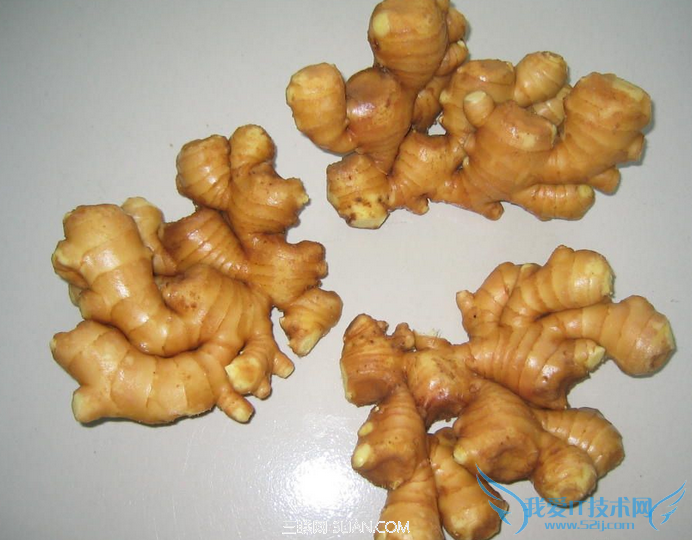 夏季如何保存生姜 52IJ
