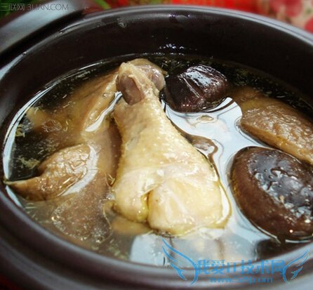 炖鸡为什么不宜先放盐 52IJ