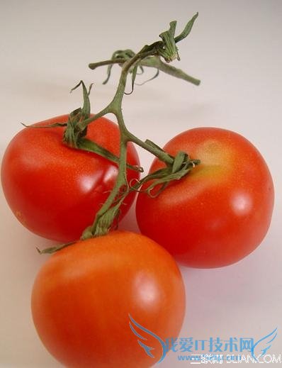 三个选购招买到放心西红柿 52IJ