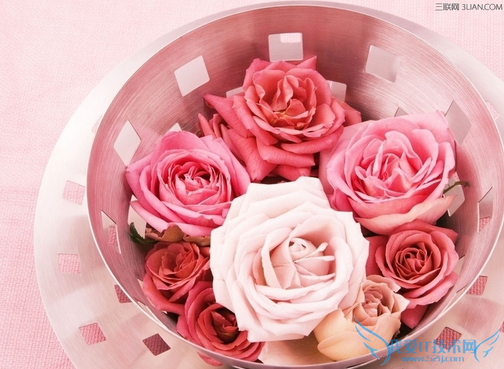 如何让鲜花长开不败 52IJ