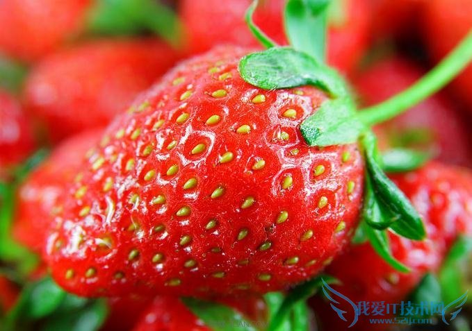 ݮôϴȥϴ            52IJ