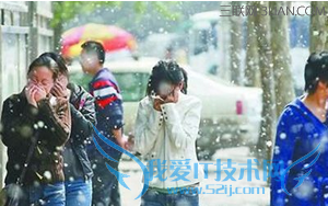 杨絮漫天飞舞安全吗 52IJ