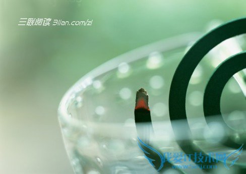 让蚊子退避三舍的方法 52IJ阅读