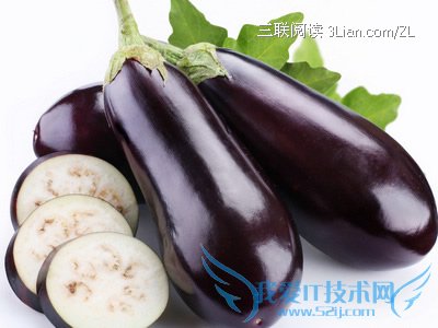 ʳӵСʶ       52IJĶ