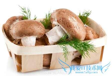 ½ÌÄãÂòµ½ÐÂÏÊÄ¢¹½µÄС¾÷ÇÏ 52IJ