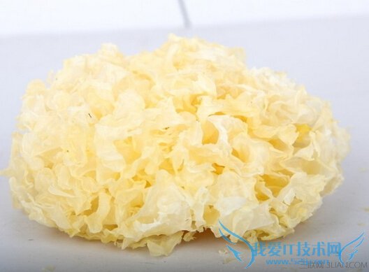 银耳怎么挑选 52IJ