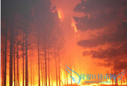 森林火灾就地取材自我防护 52IJ