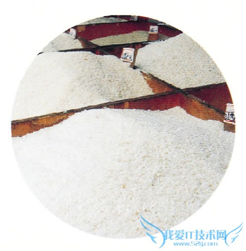 夏季防止大米生虫霉变小窍门 52IJ阅读