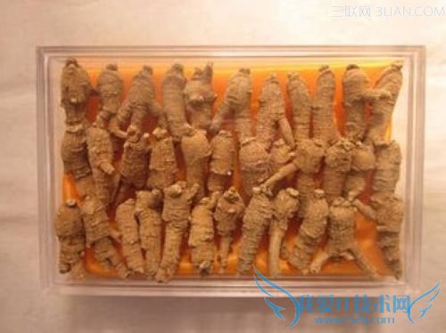 春节给爸妈送什么补品 52IJ