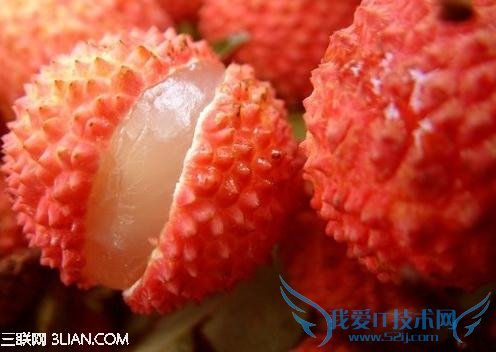 ѡ֦С            52IJ